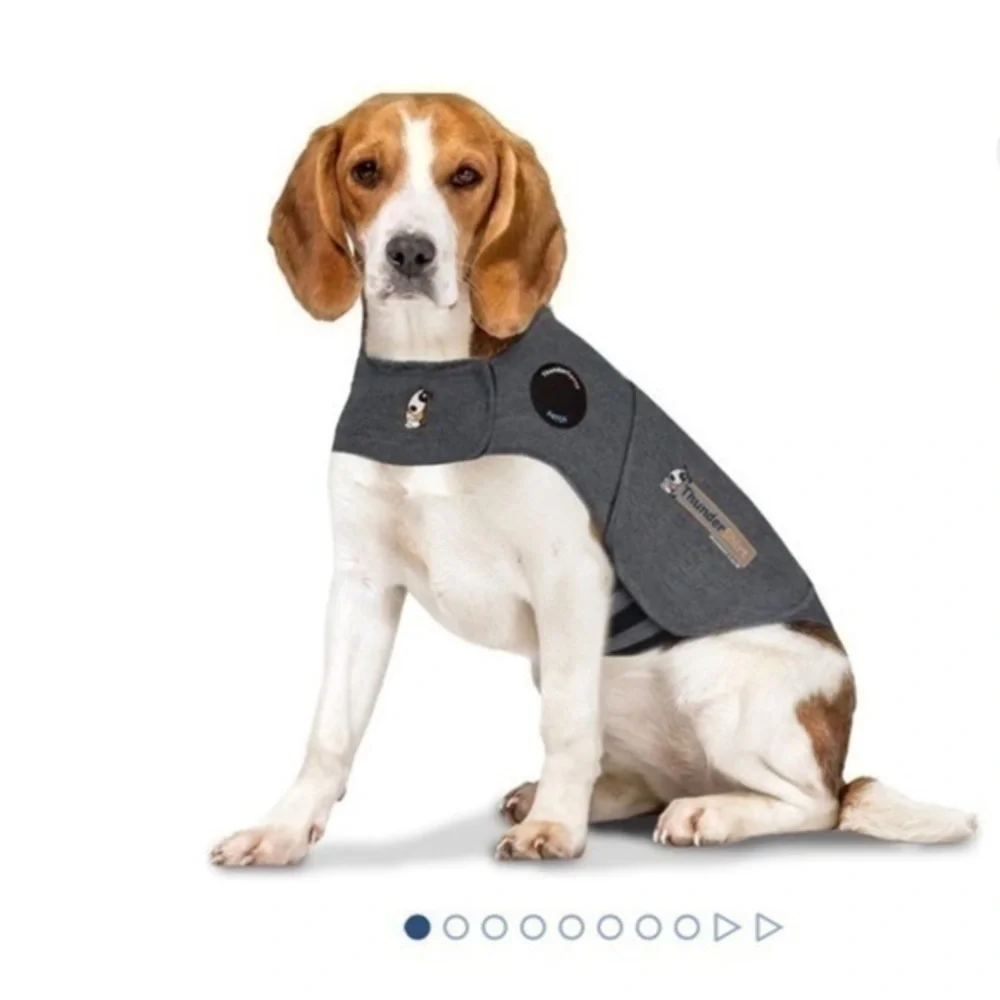 ThunderShirt for Dog Anxiety